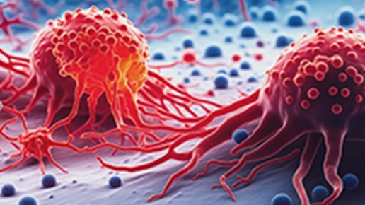 Pan-cancer reference standards