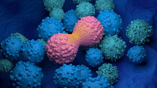 Mimix OncoSpan gDNA reference standard IVD