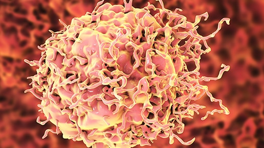 Reference standards for solid tumor analysis