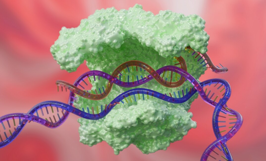 Image representing CRISPR interference