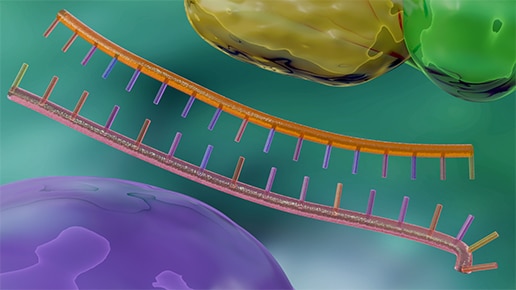 micro RNA – Double stranded RNA