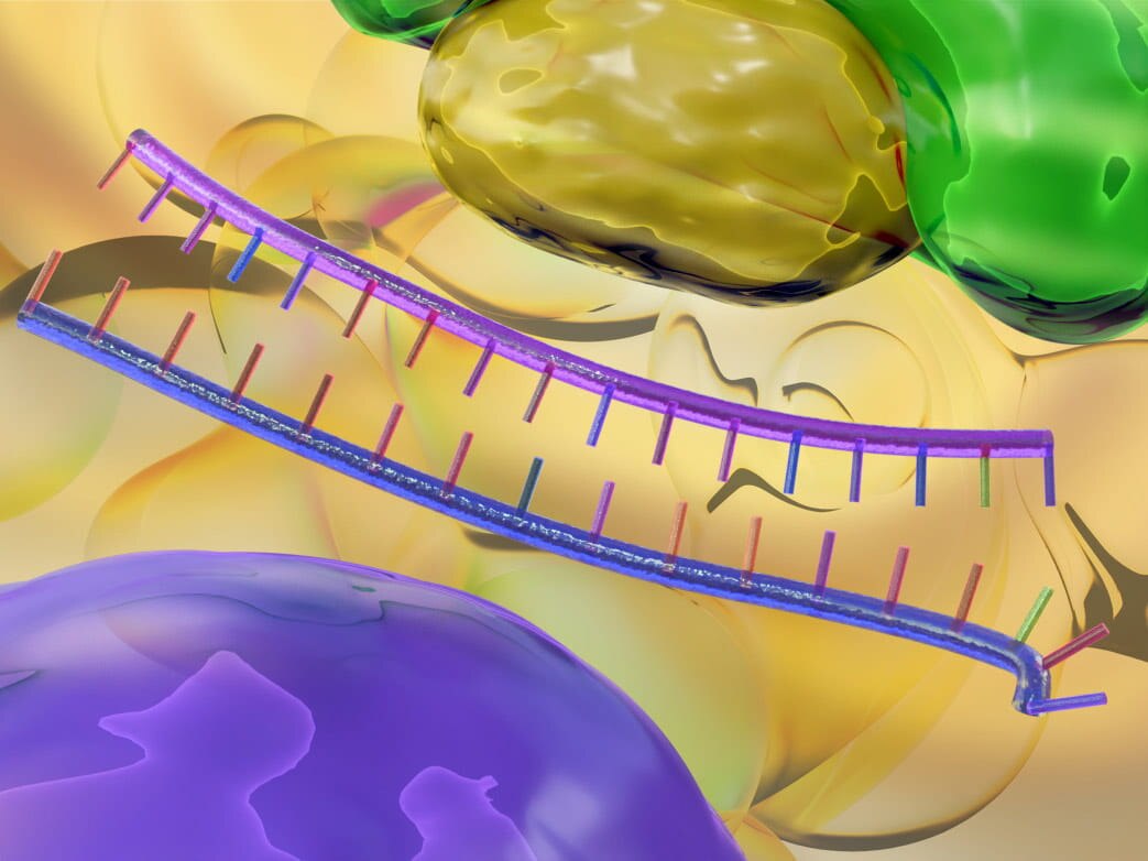 RNAi - Double stranded RNA