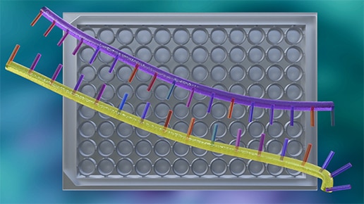Double stranded RNA and microplate