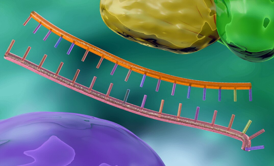 microRNA Mimics and Inhibitors