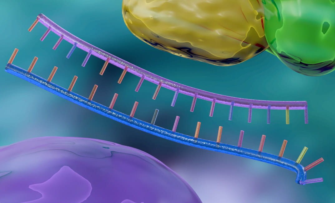 siRNA Reagents and Solutions