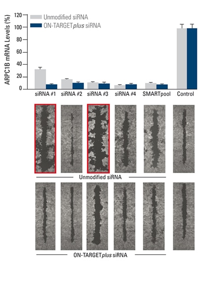 Graph Pg4 image