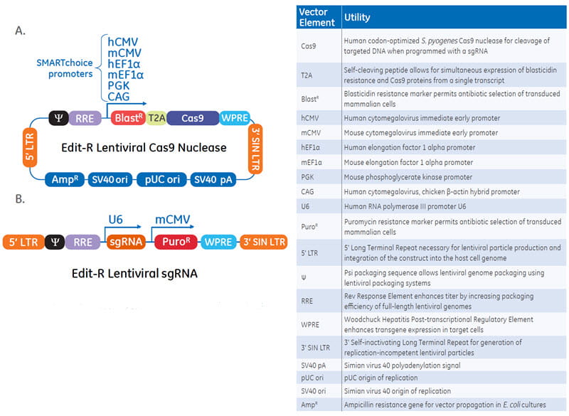 Schematic maps and table of vector elements of the Edit-R Lentiviral Cas9 Nuclease