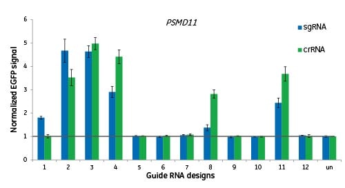 Algorithm applies to both synthetic crRNAs and expressed sgRNAs