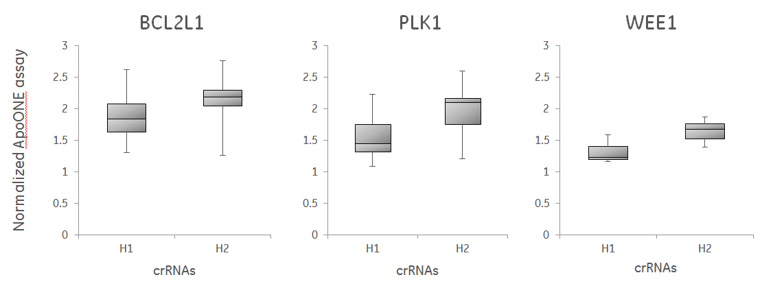 crRNAs with high functional scores