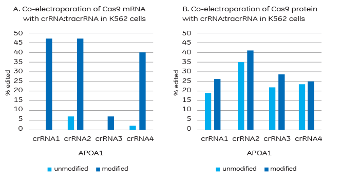 Efficiency of gene editing with 2x MS modified or unmodified crRNA:tracrRNA