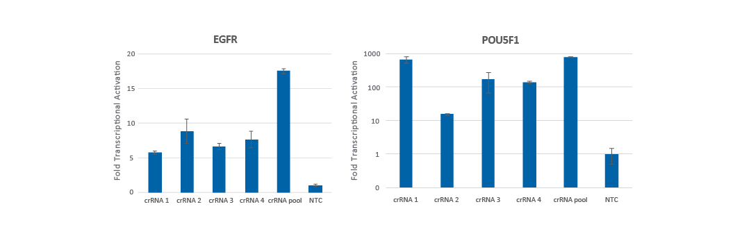 Pooling the crRNAs can further enhance the transcriptional activation