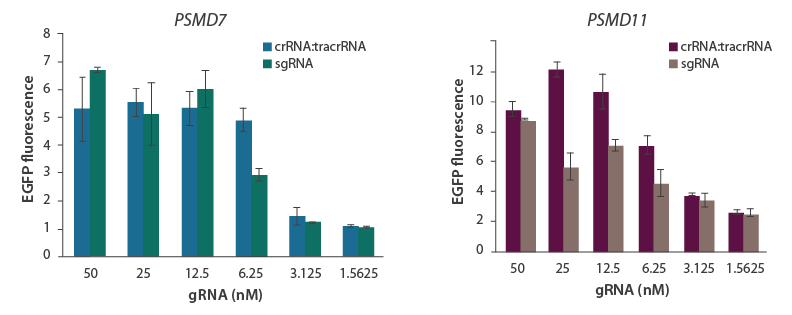 Knockout performance of synthetic sgRNA and crRNA:tracrRNA