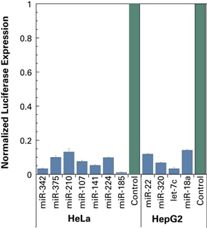 miRIDIAN microRNA Mimics simulate endogenous mature miRNA function