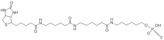Unit Structure: 3'-Biotin LC LC