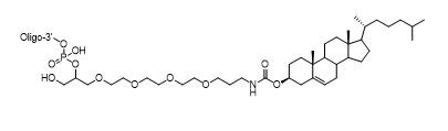 Unit Structure: 3' TEG-Cholesterol
