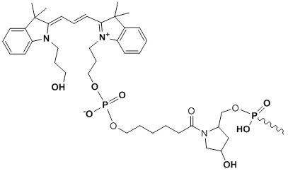 Unit Structure: 3'-Cy3