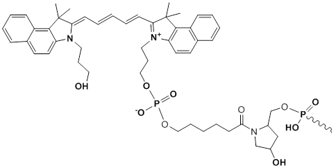 Unit Structure: 3'-Cy5.5