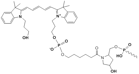 Unit Structure: 3'-Cy5