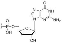 Unit Structure: 3'-Terminal 3'-Deoxy-Guanosine