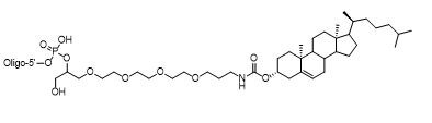 Unit Structure: 5' Cholesterol-TEG
