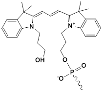Unit Structure: 5'-Cy3