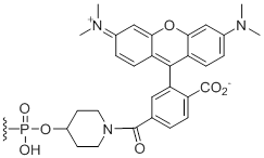 Unit Structure: 5'-TAMRA