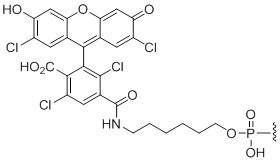 Unit Structure: 5'-TET