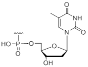 Unit Structure: 5' Inverted deoxy-thymidine