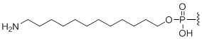 Unit Structure: 5'-Amino modifier C12