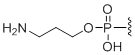 Unit Structure: 5'-Amino modifier C3