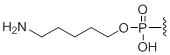 Unit Structure: 5'-Amino modifier C5