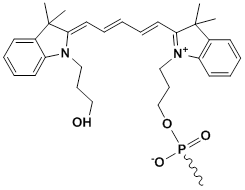 Unit Structure: 5'-Cy5