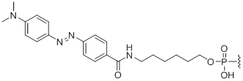 Unit Structure: 5'-Dabcyl