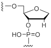Unit Structure: dSpacer