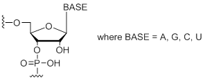 Unit Structure: rN