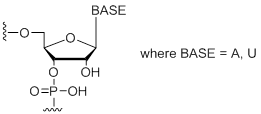 Unit Structure: rW