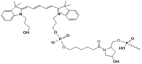 Unit Structure: 3’-Cy5