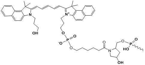 Unit Structure: 3’-Cy5.5