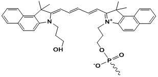 Unit Structure: 5’-Cy5.5