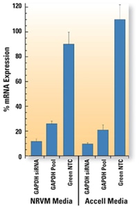 sirna accell nrvm 1 figure lrg