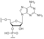 Unit Structure: 2,6-Diaminopurine
