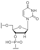 Unit Structure: 2'-Deoxy-uridine