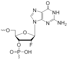 Unit Structure: 2'-Fluoro-guanosine