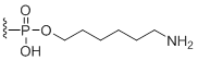 Unit Structure: 3'-Amino modifier C6