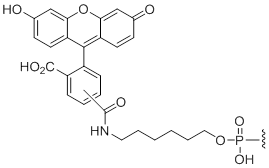 Unit Structure: 5'-Fluorescein