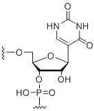 Unit Structure: Pseudouridine