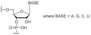 Unit Structure: Standard RNA Bases (A, C, G, U)