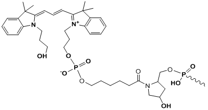 Unit Structure: 3’-Cy3