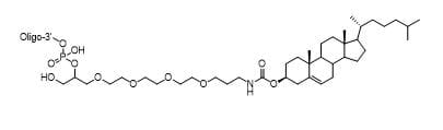 Unit Structure: 3' TEG-Cholesterol