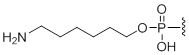 Unit Structure: 5'-Amino modifier C6